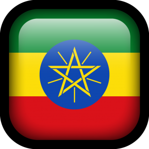 Ethiopian Embassy